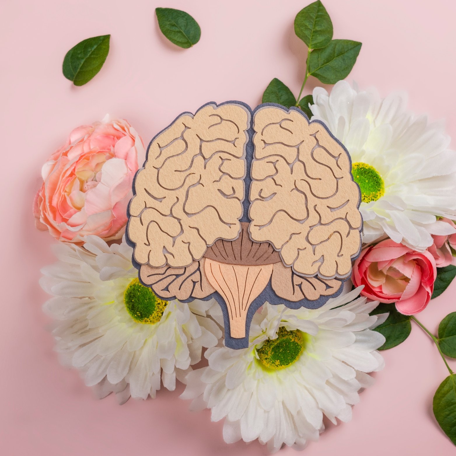 Mental Wellbeing & Career Consultations